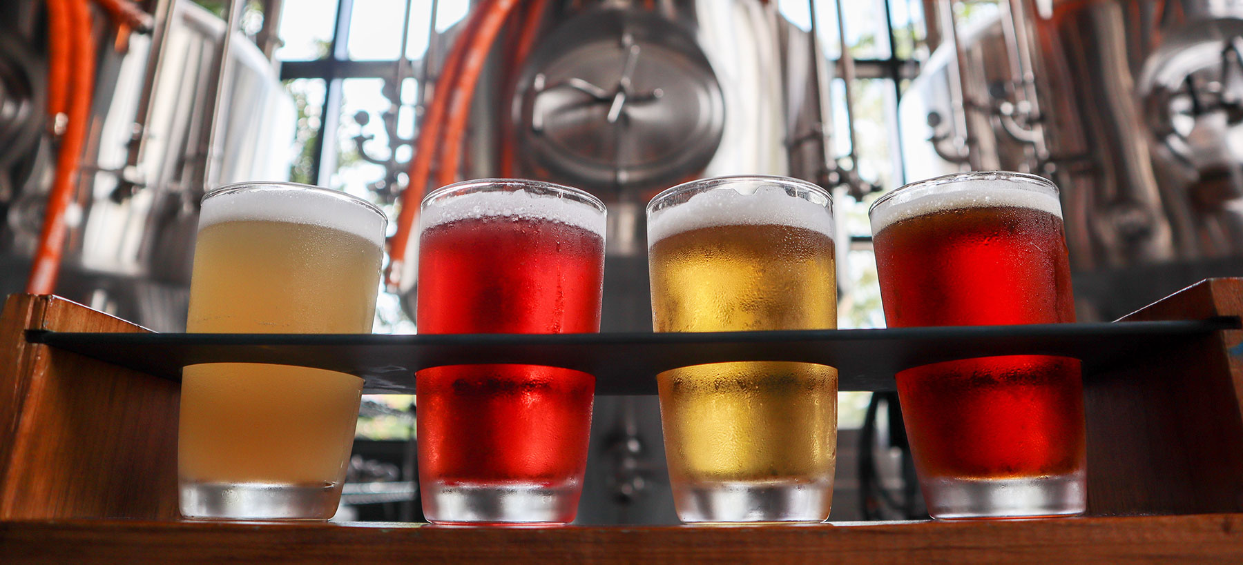 Photograph of Beer Flight